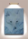 Polarfuchs